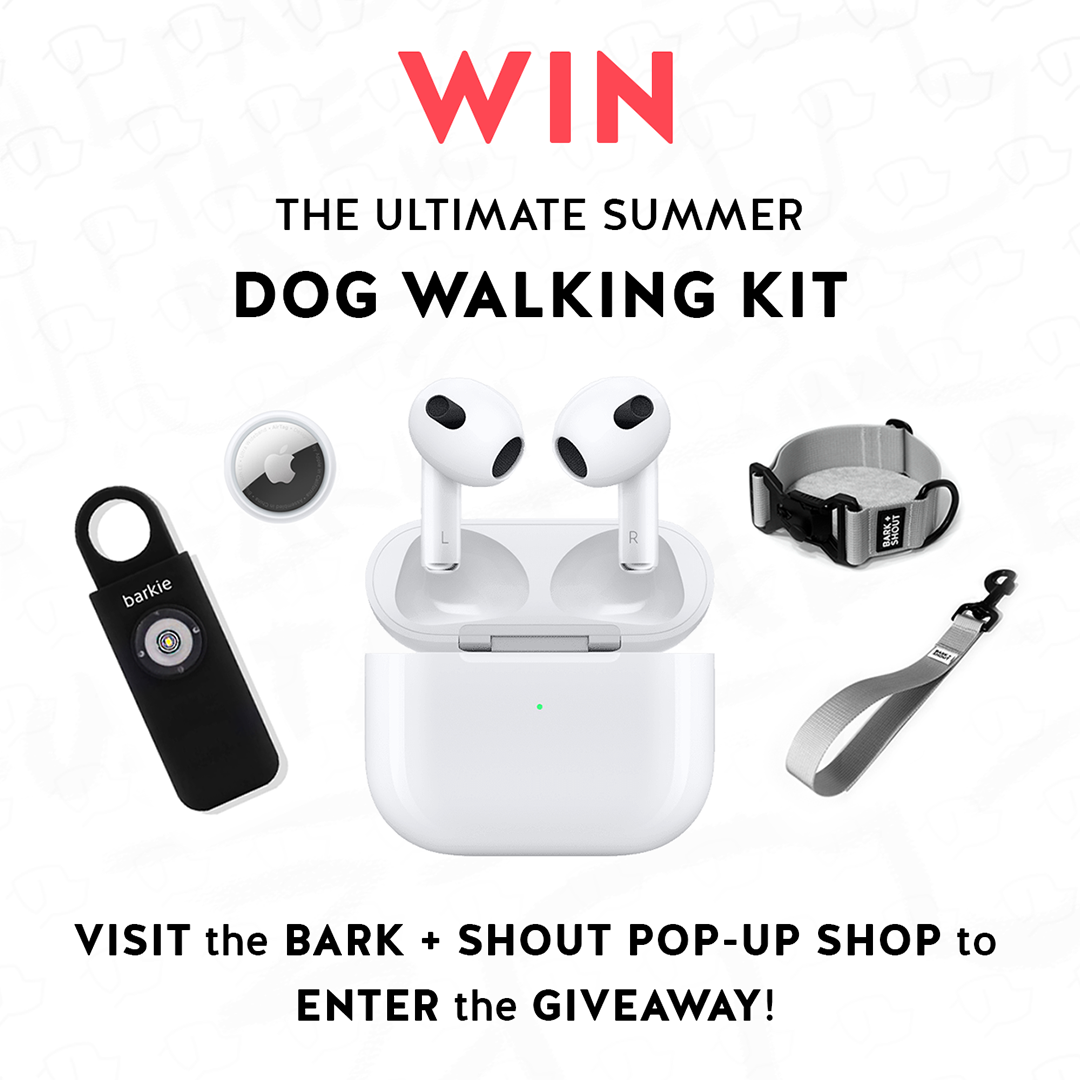 GIVEAWAY - The Ultimate Summer Dog Walking Kit