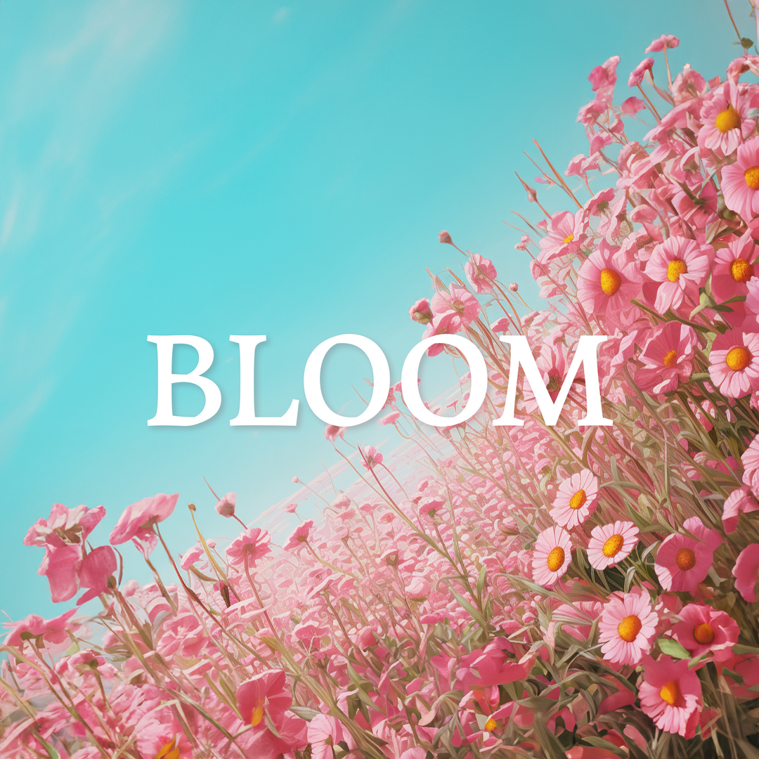 BLOOM LIMITED DROP Bark + Shout