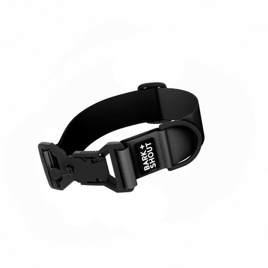 SPRK-40 | AirTag Dog Collar (M-XL)