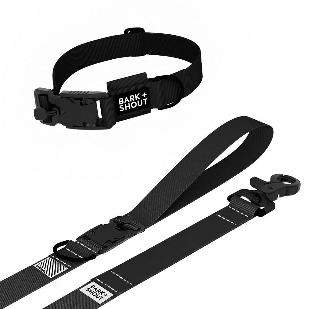 SPRK-KIT 2.0 | Collar + Lead + Washbag