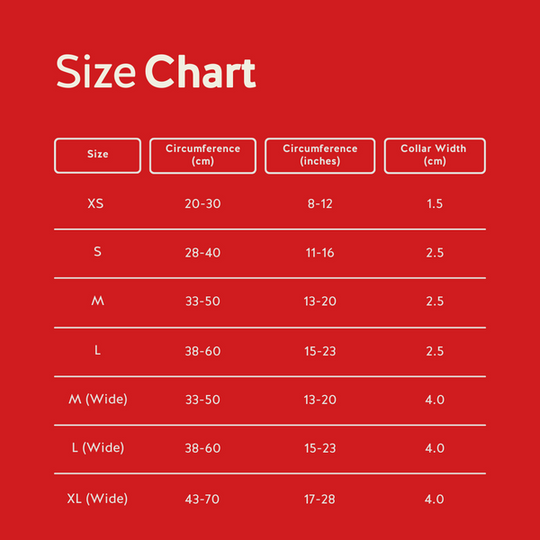 SPRK-KIT 2.0 | Collar + Lead + Washbag