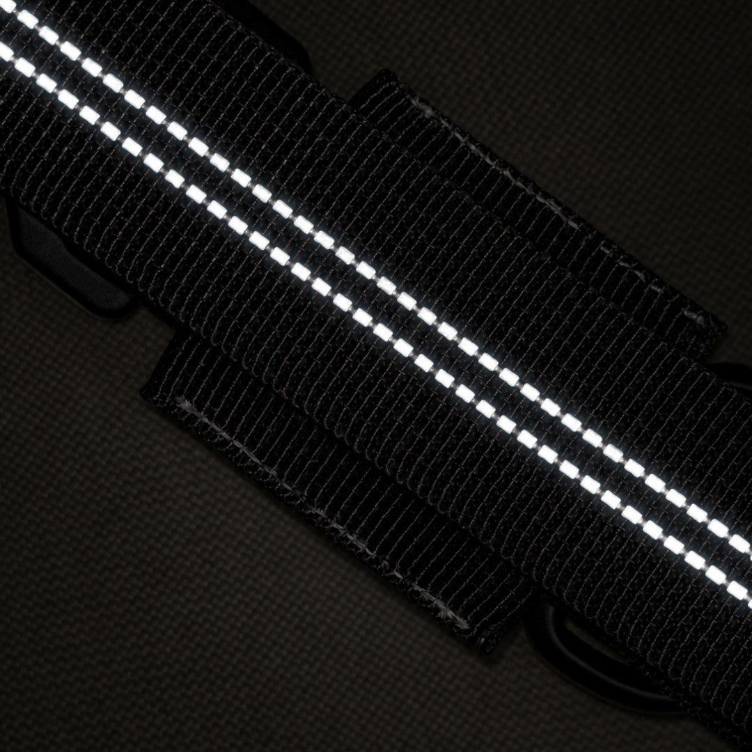 Two reflective strips glowing white on a black collar under flash