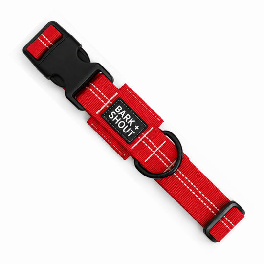 AirTag Dog Collar 3