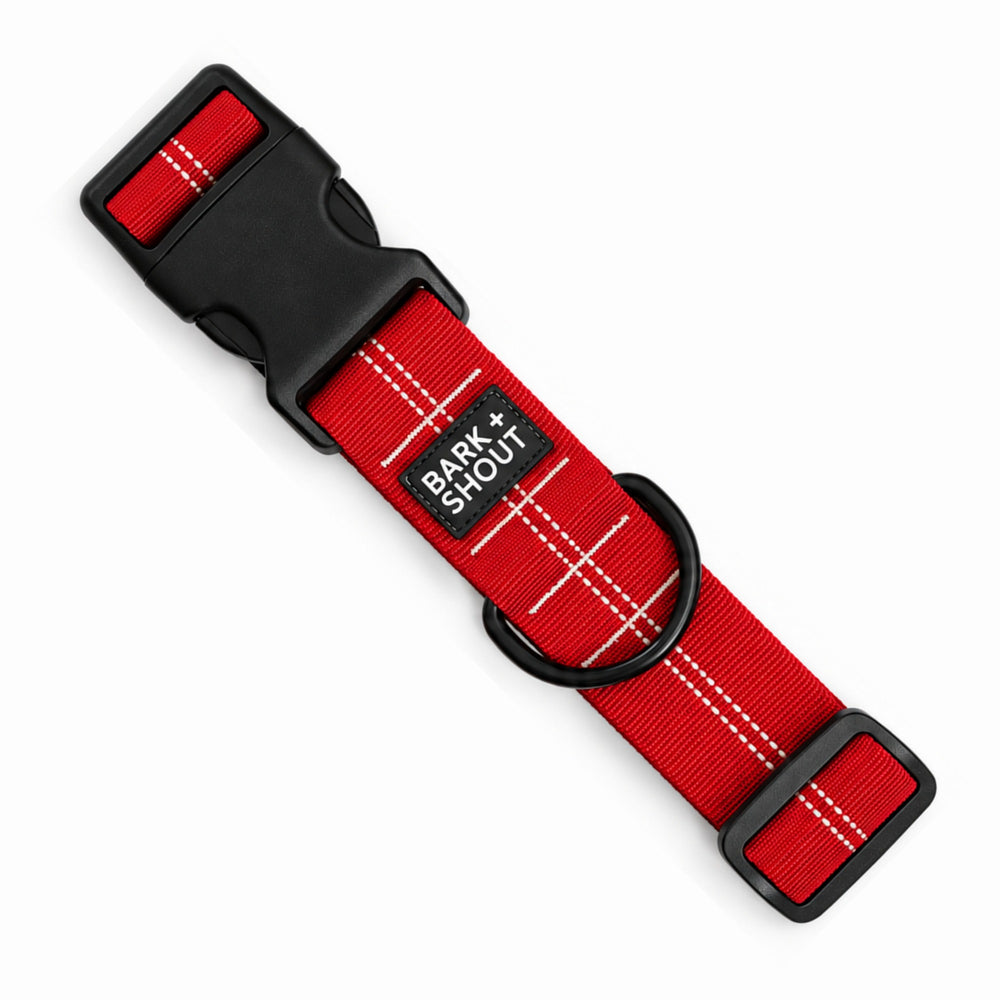 AirTag Dog Collar 3 Plus