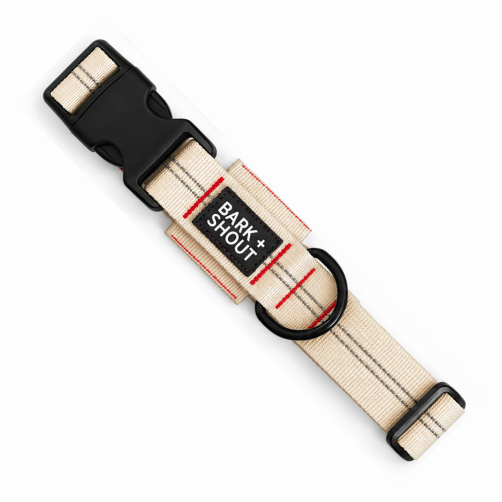 AirTag Dog Collar 3