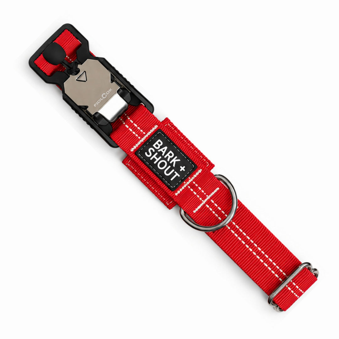 AirTag Dog Collar 3 Pro