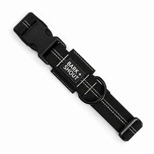 AirTag Dog Collar 3