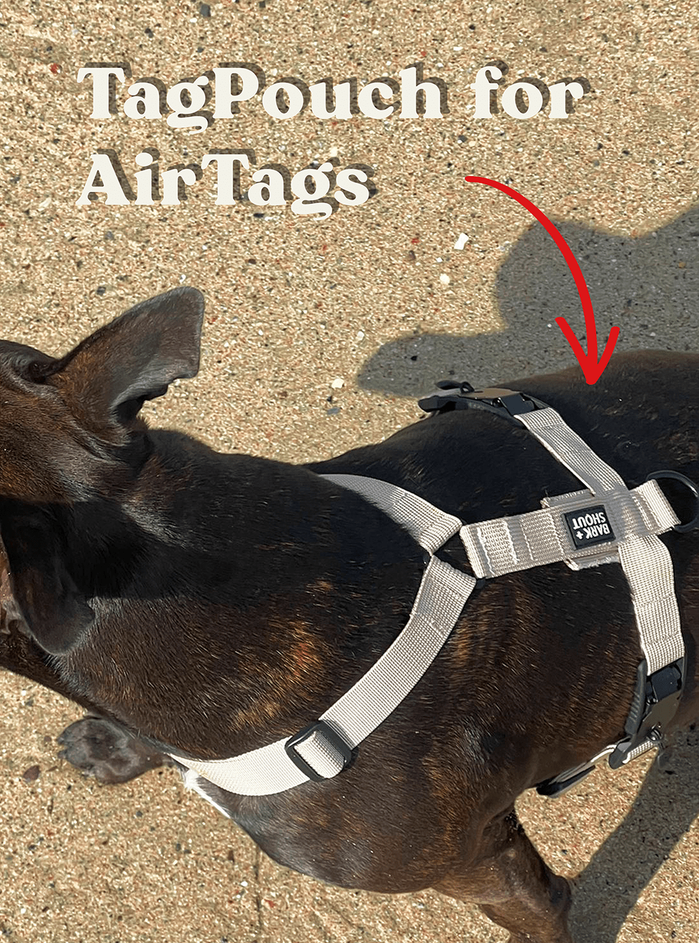 SAND - HARNESS