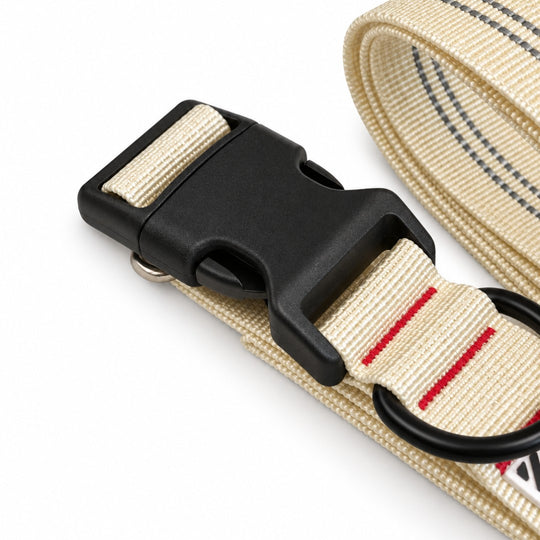Adjustable Dog Lead 3