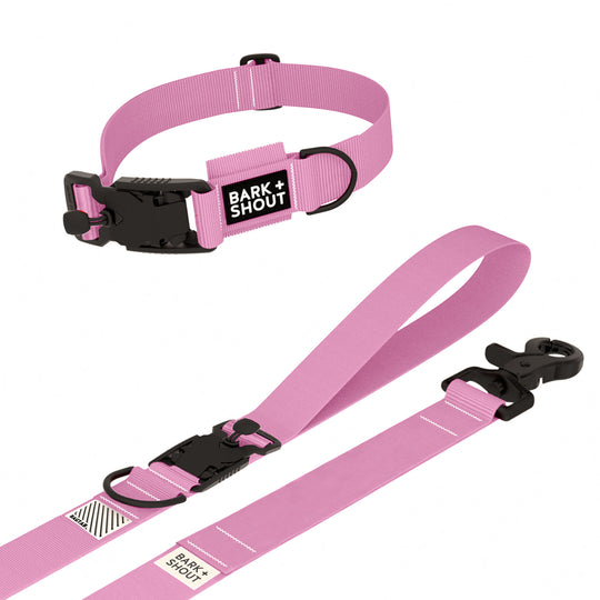 SPRK-KIT 2.0 | Collar + Lead + Washbag