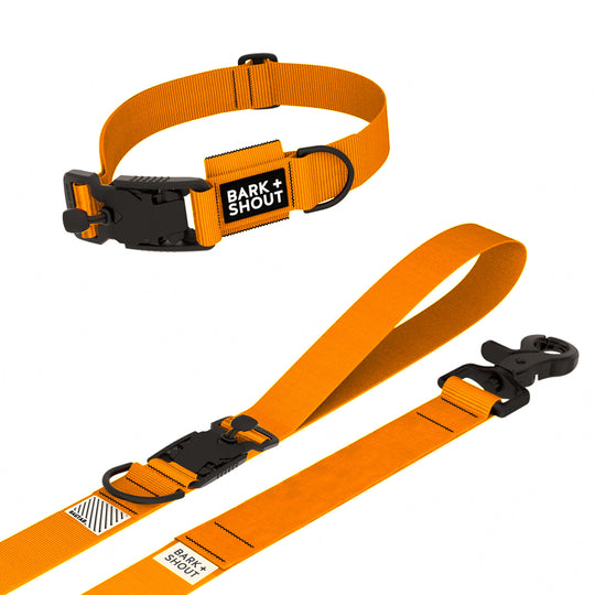SPRK-KIT 2.0 | Collar + Lead + Washbag