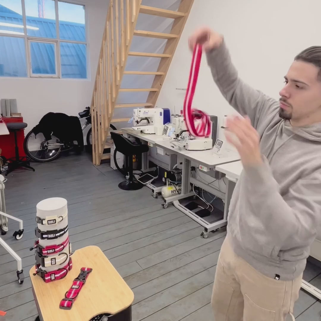 SPRK-LEAD 2.0 | Adjustable Dog Lead