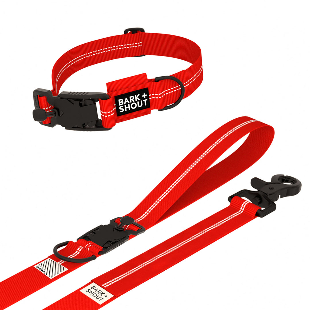 SPRK-KIT 2.0 | Collar + Lead + Washbag