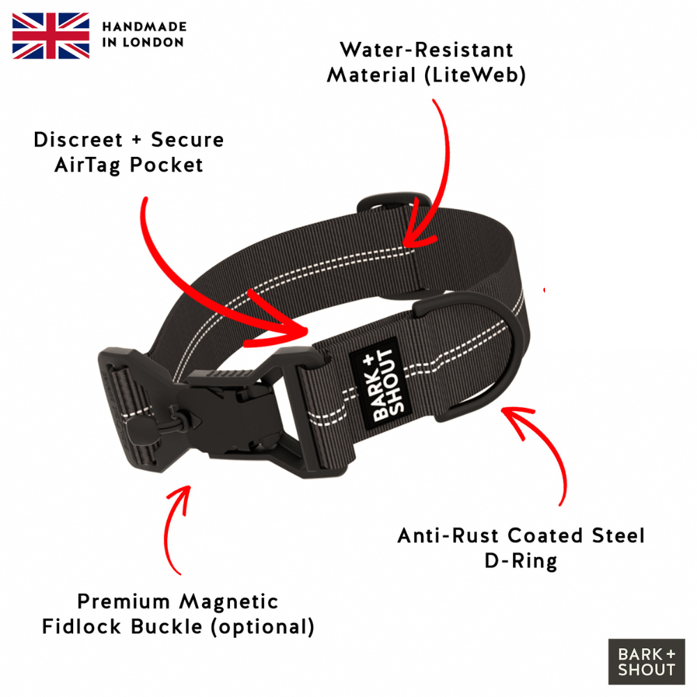 SPRK-40 3.0 | AirTag Dog Collar (M-XL)