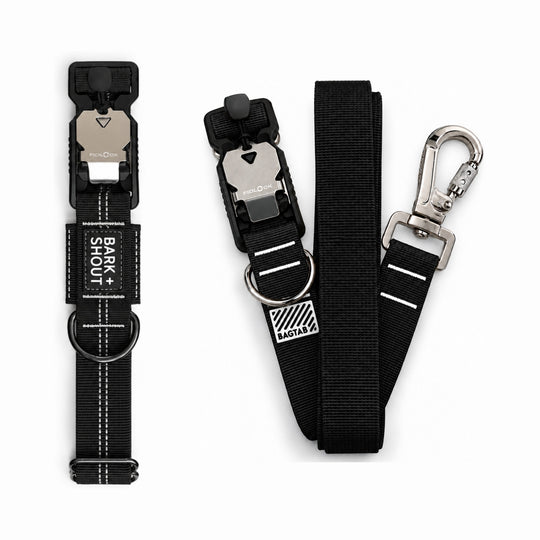 Walk Kit 3 Pro